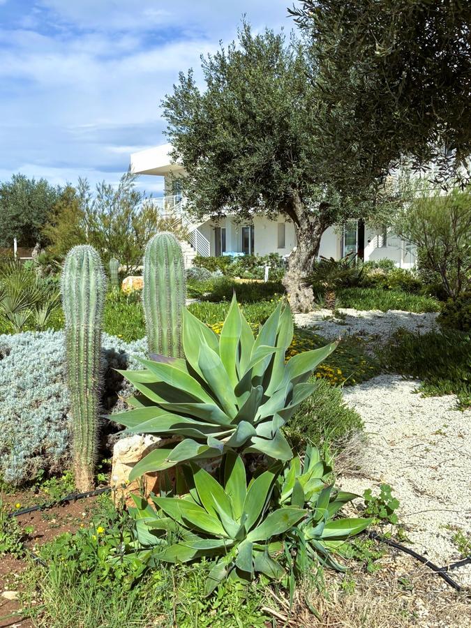 Giardino mediterraneo